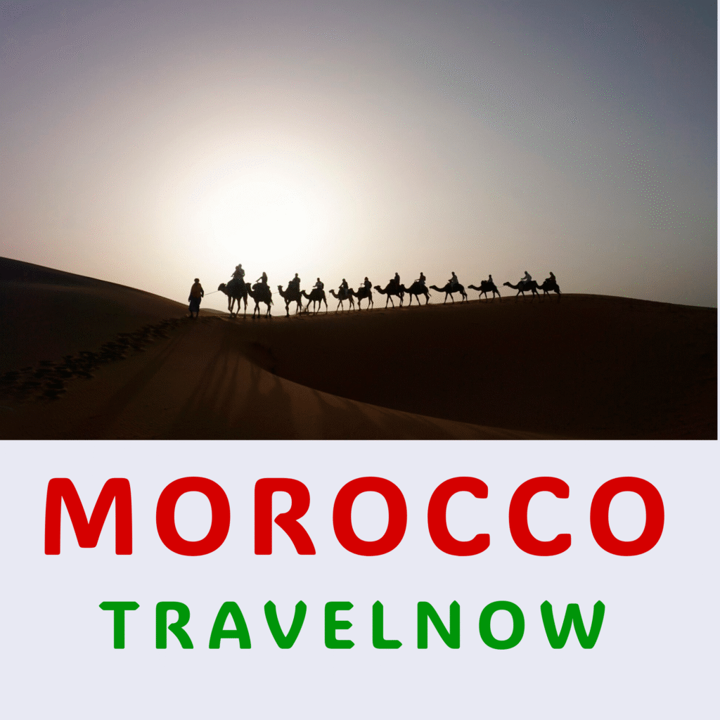 moroccotravelnow logo